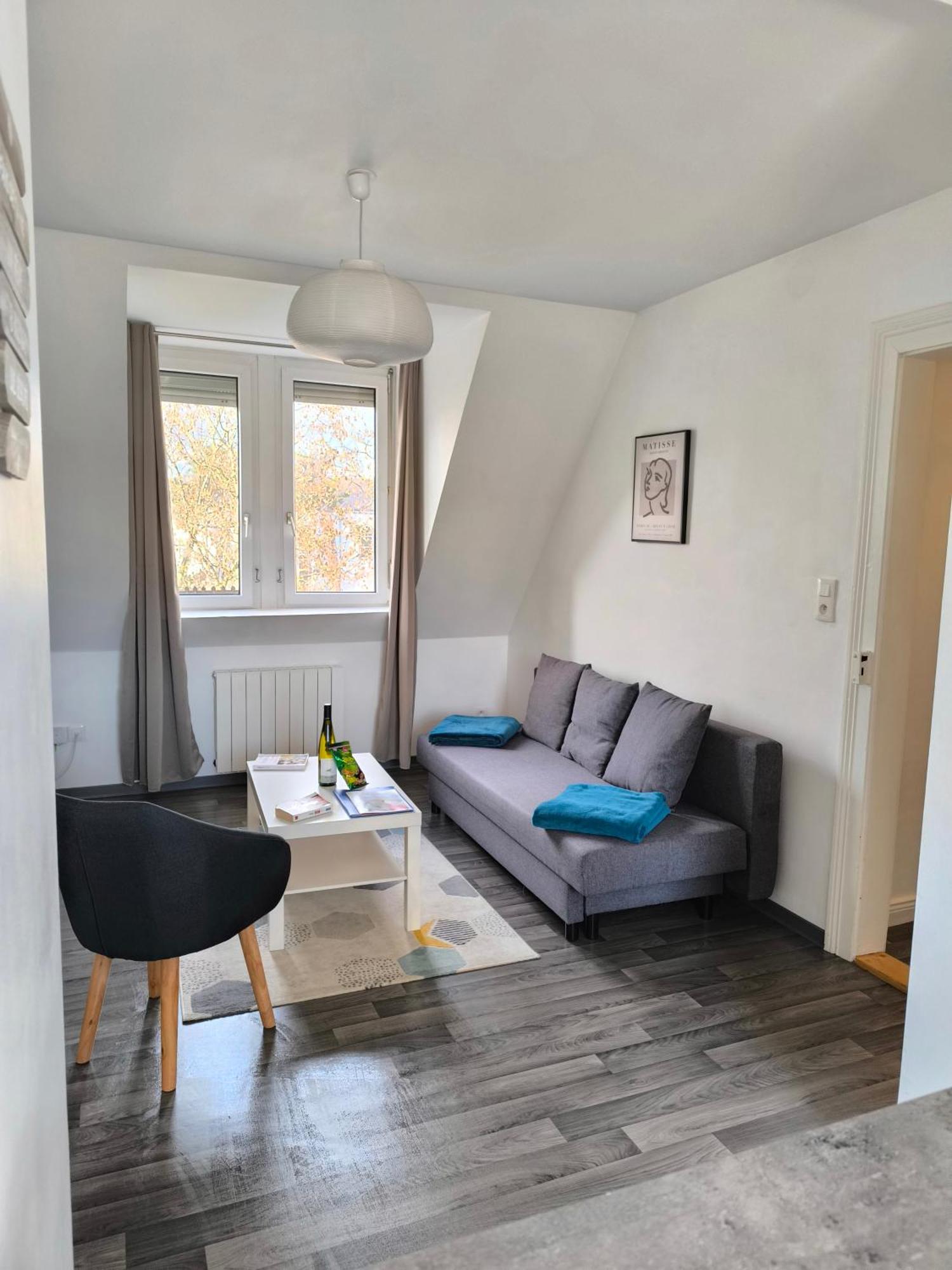 Appartement Cosy A Кольмар Экстерьер фото