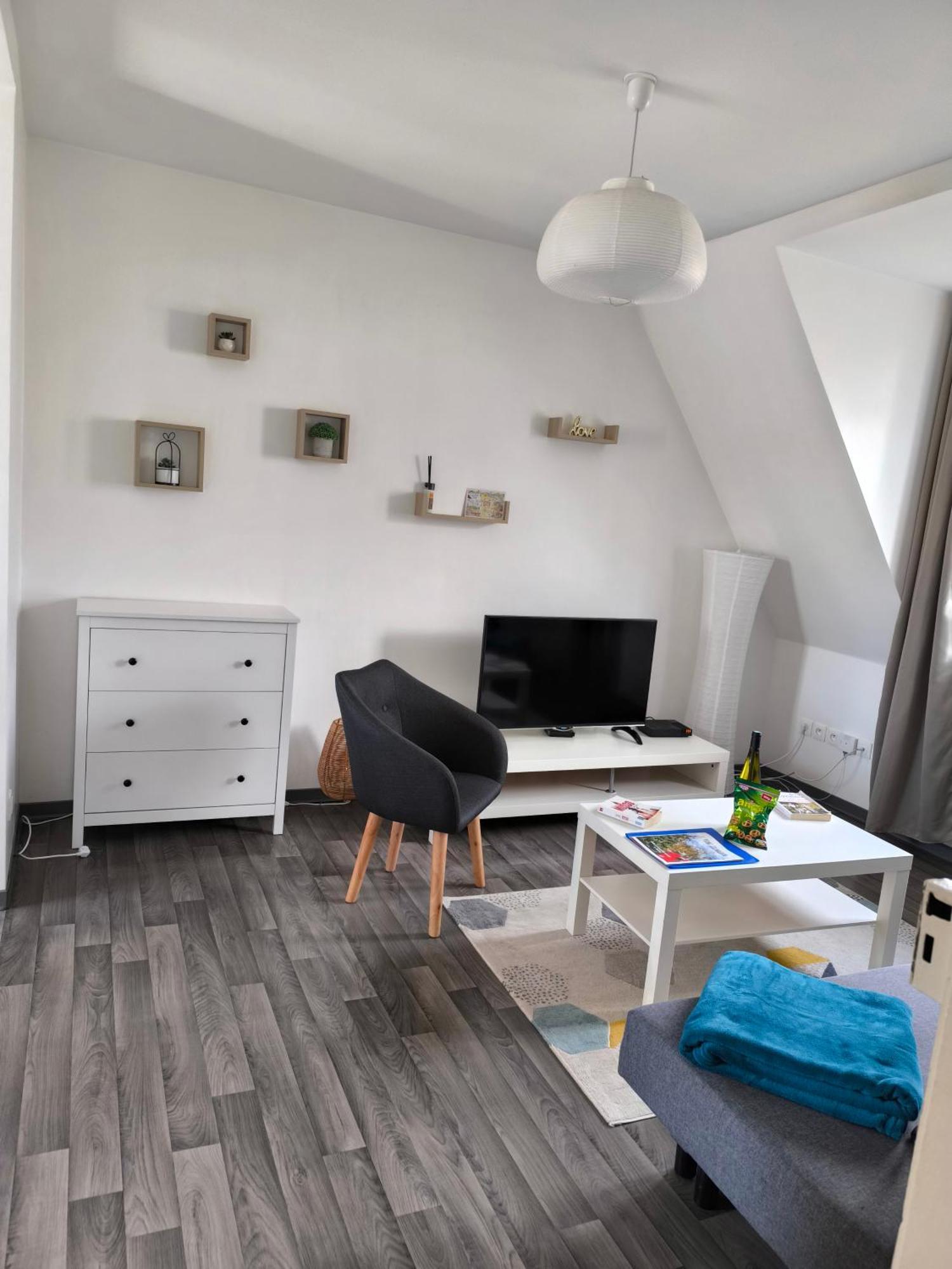 Appartement Cosy A Кольмар Экстерьер фото