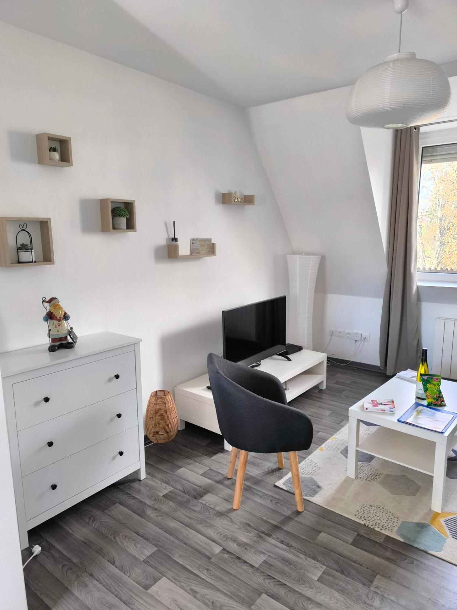 Appartement Cosy A Кольмар Экстерьер фото